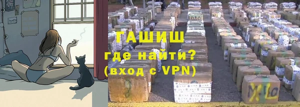 дживик Богородск